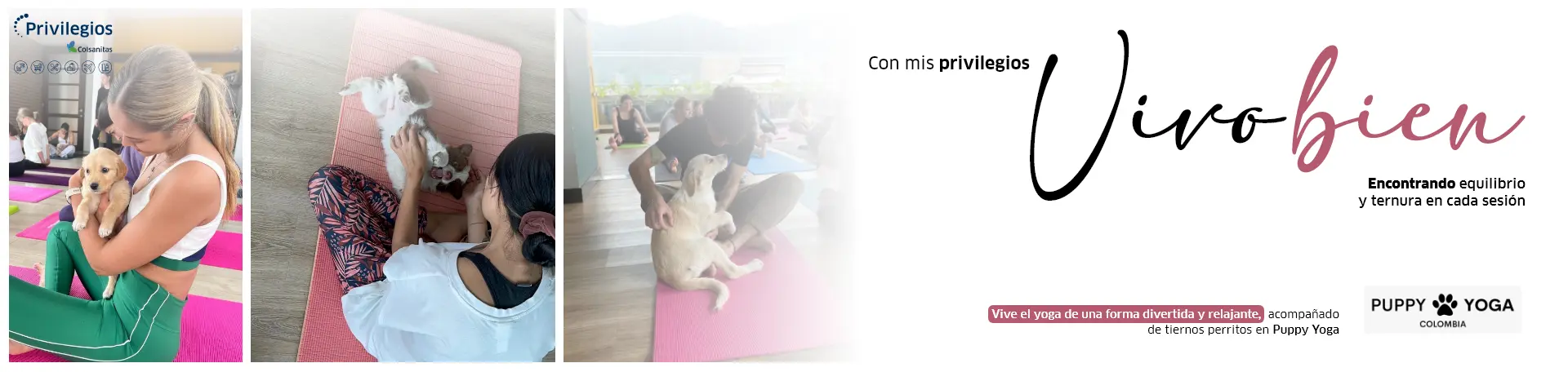 Puppy-yoga-20dto-eserva-previa