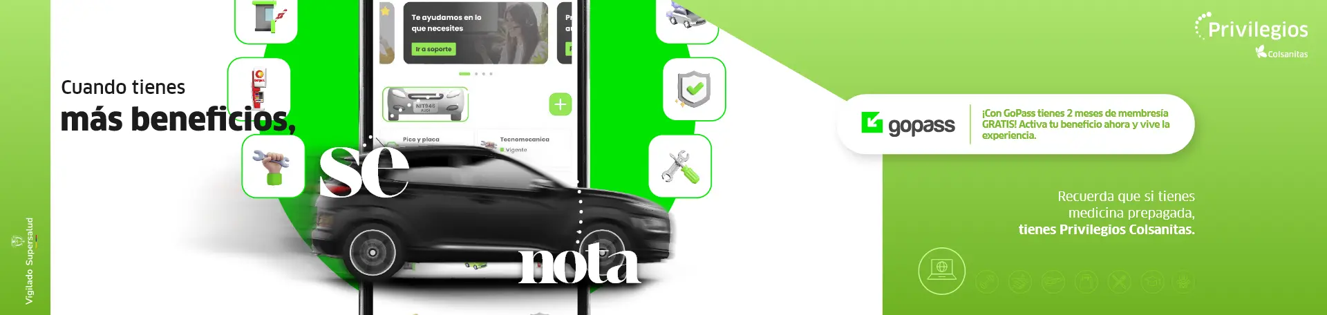 gopass-15dto-go-rex
