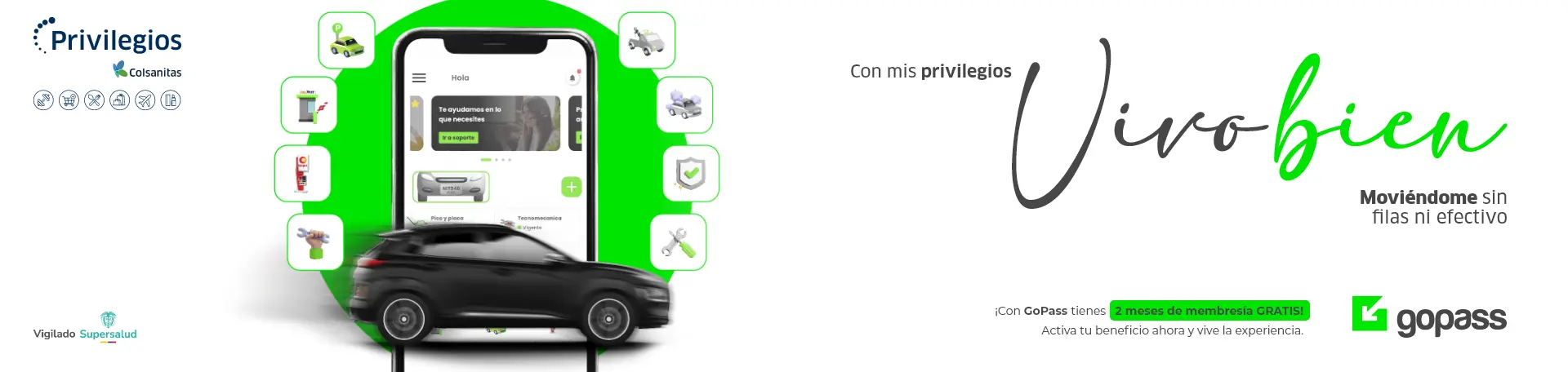 gopass-15dto-go-rex