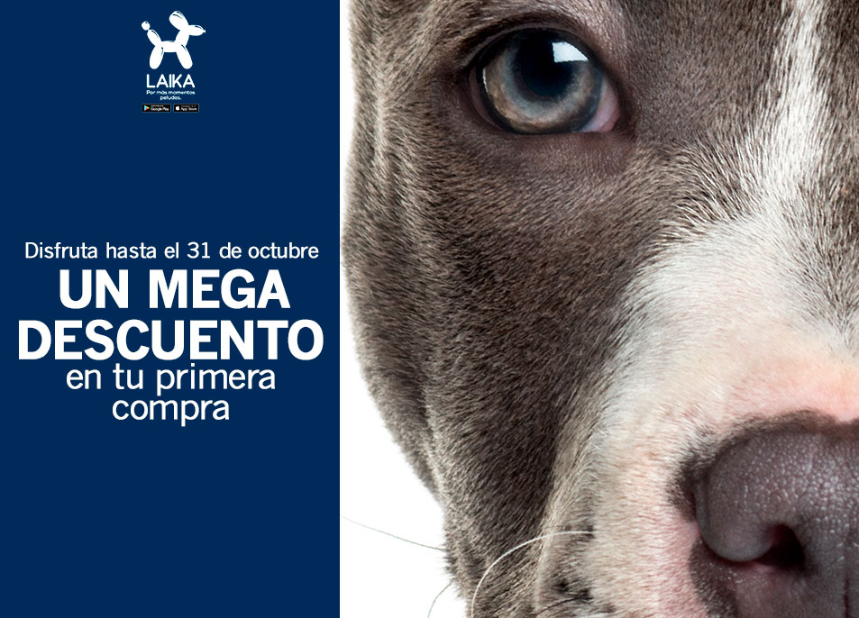 laika-40-dto-octubre