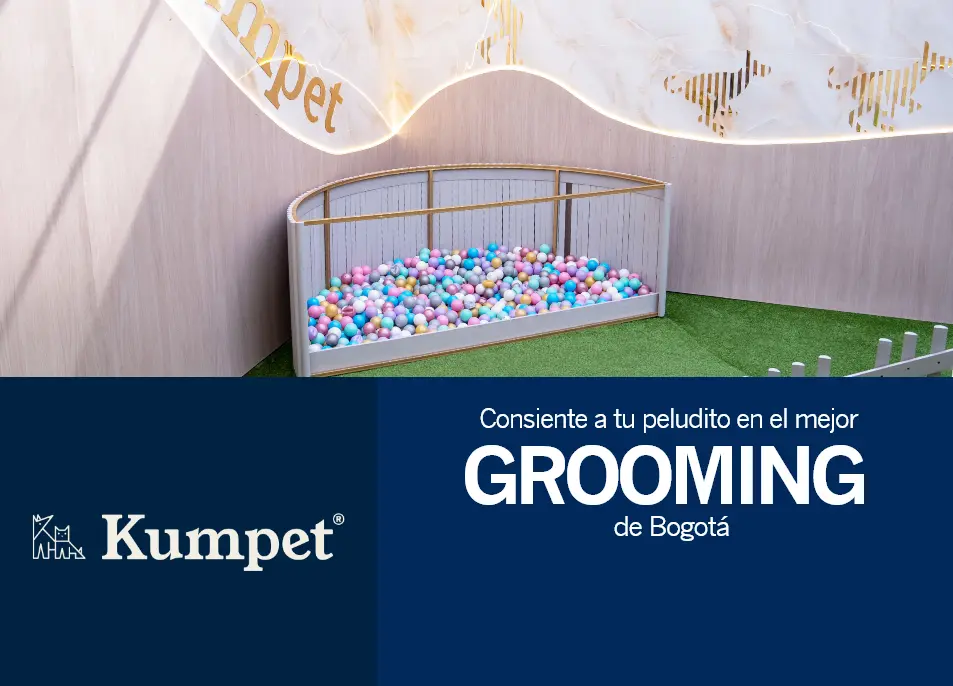 kumpet-20dto-descuento-grooming