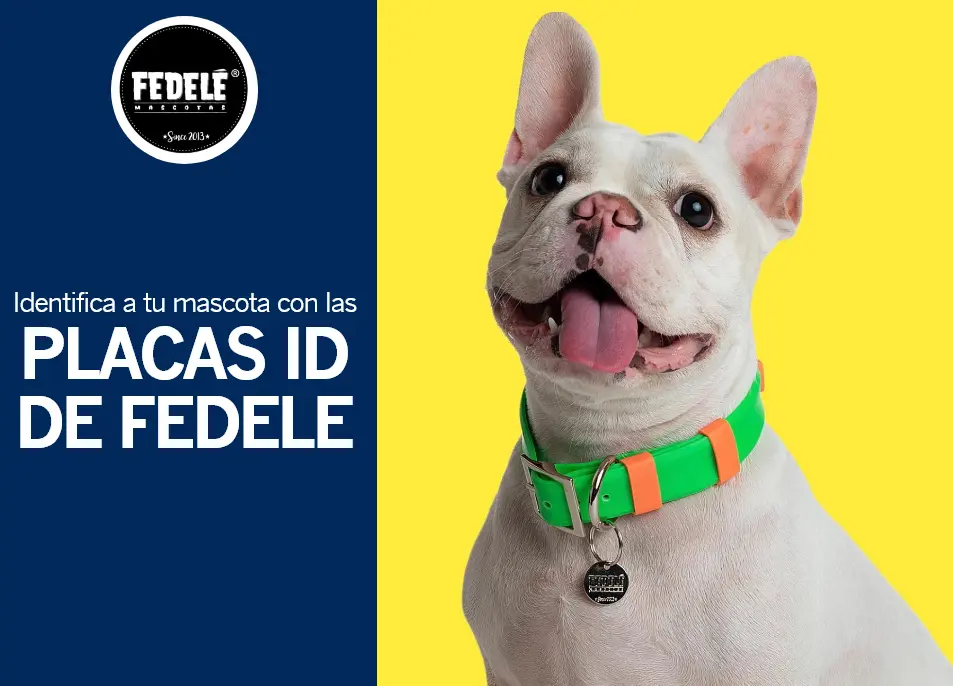 fedele-2x1-en-placas-id