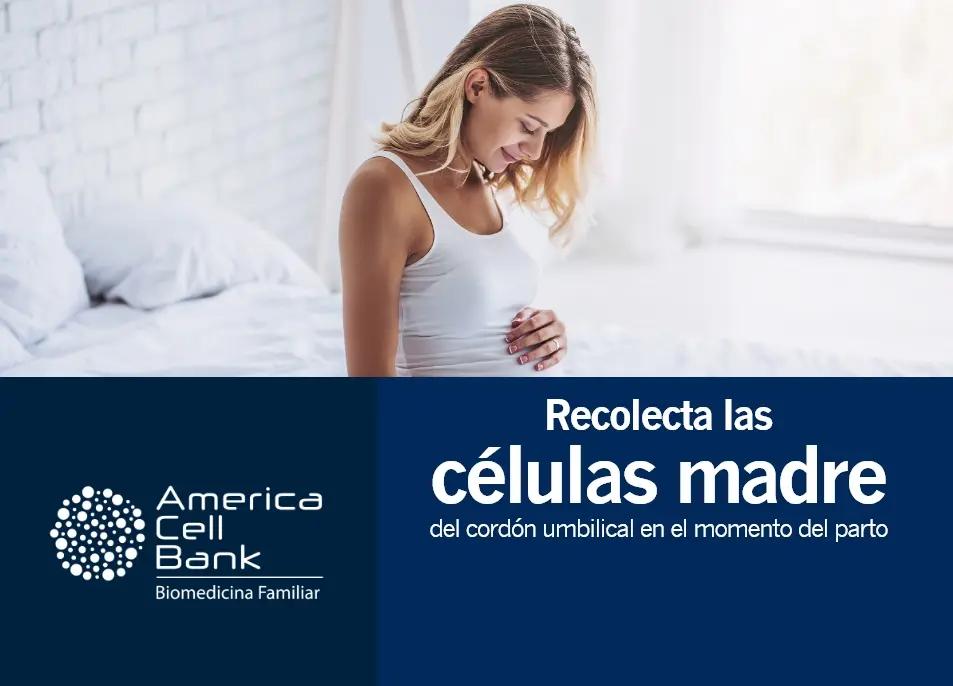 america-cell-bank-40dto-kitgratis