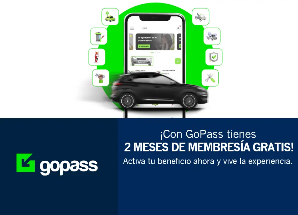 gopass-15dto-go-rex